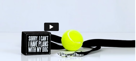 Plans With My Dog Box Sign