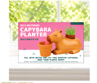 SELF WATERING CAPYBARA PLANTER