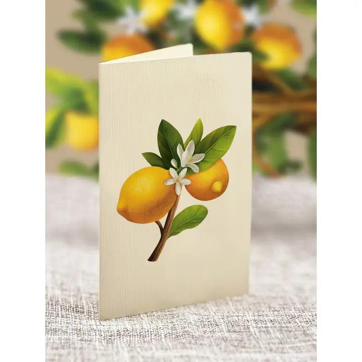 Lemon Blossom Tree Pop Up Card