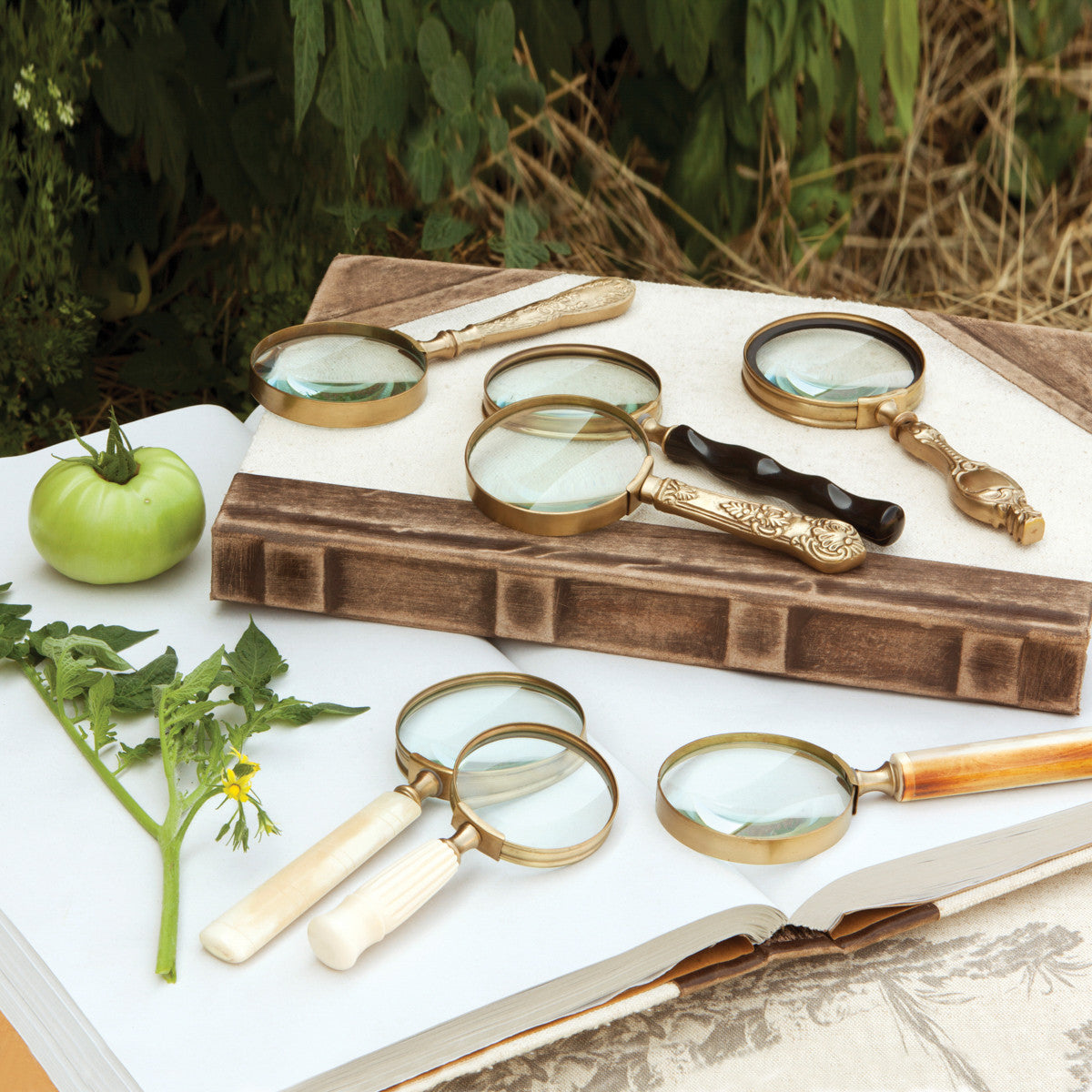 Magnifying Glass