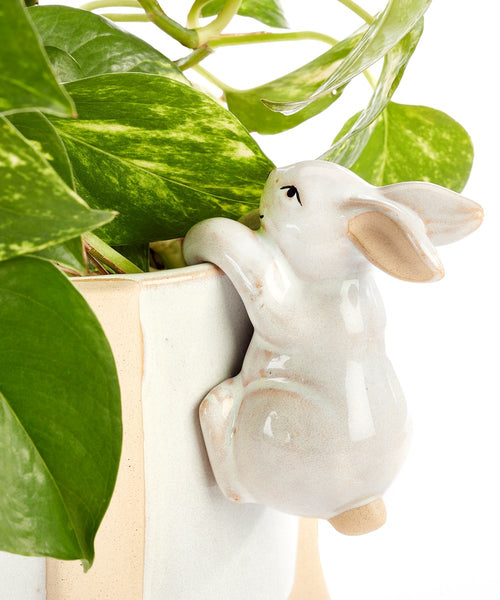 Bunny Pot Hugger