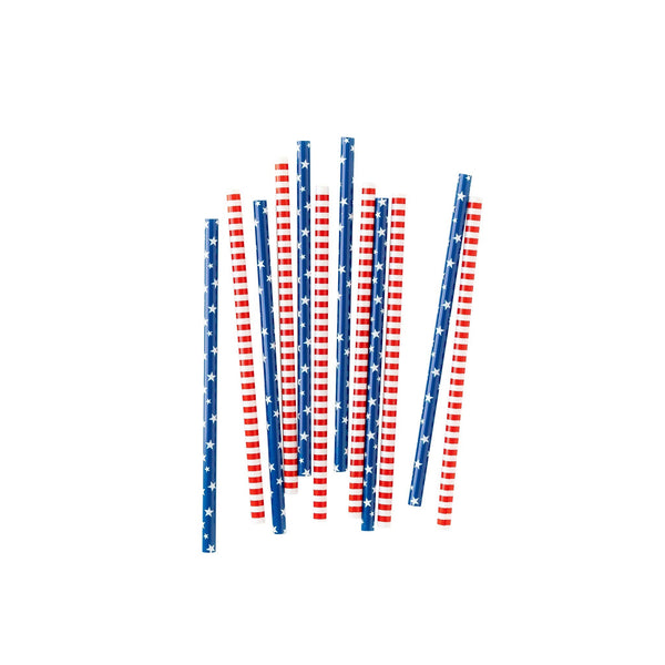 Red/White and Blue Reusable Straws