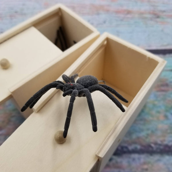 Spider Box