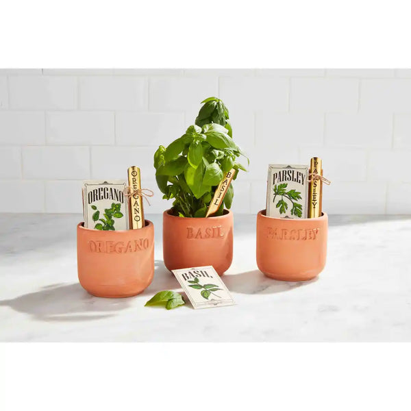 OREGANO HERB PLANTING SET