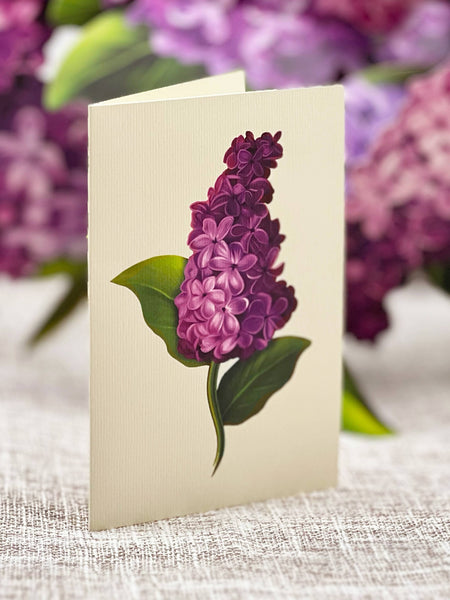 Garden Lilacs