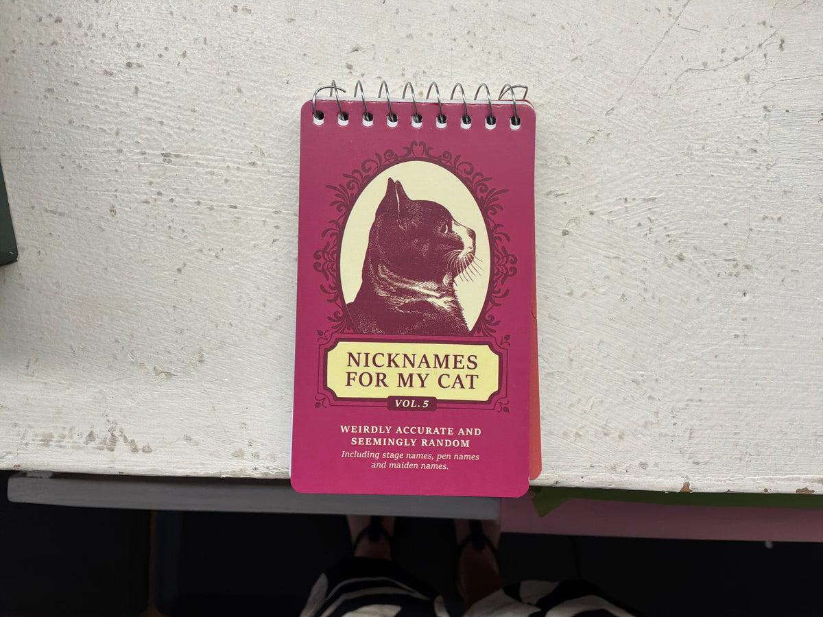 Spiral Notebook 3x5 by Blue Q