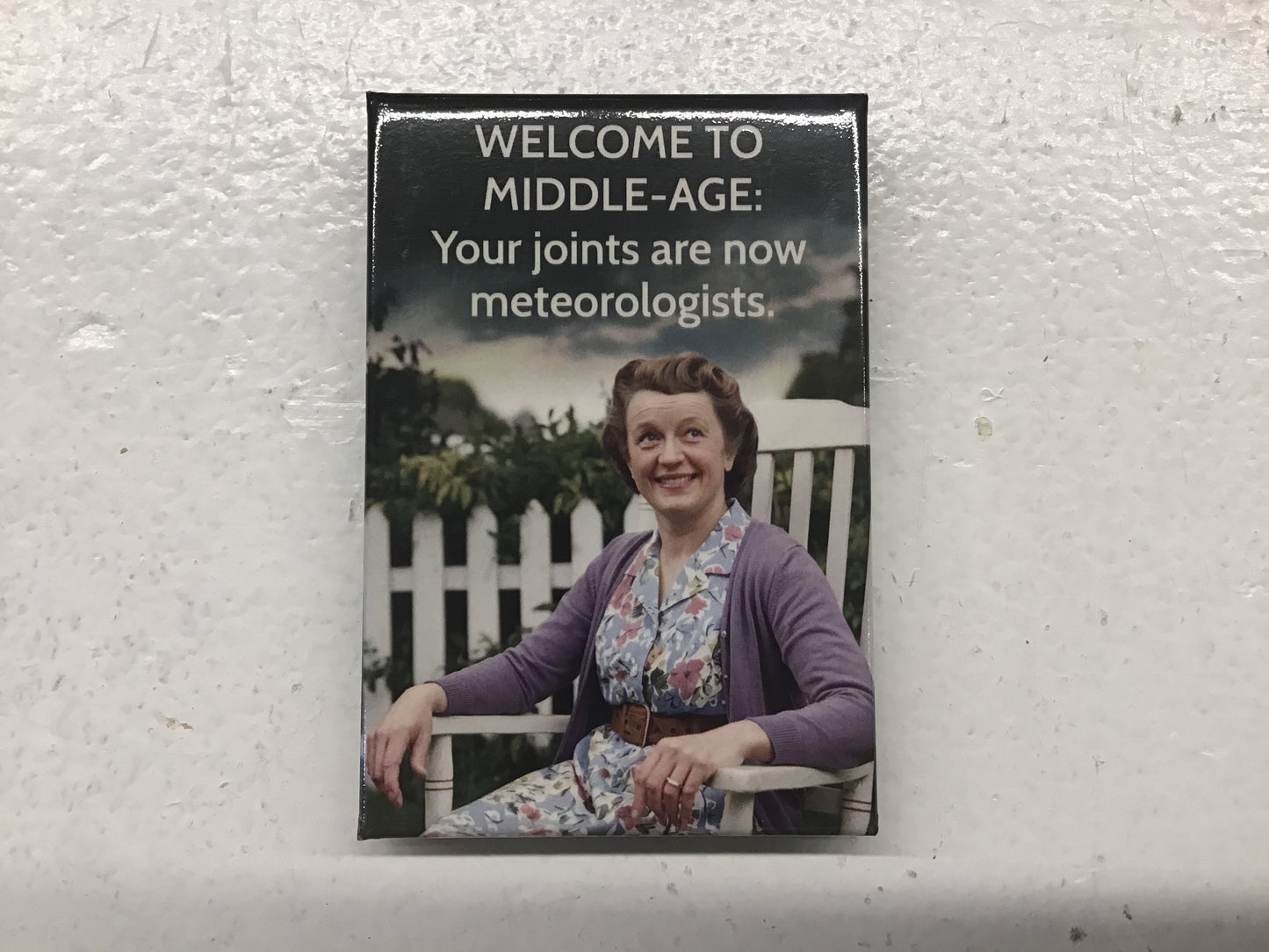 Vintage Magnets