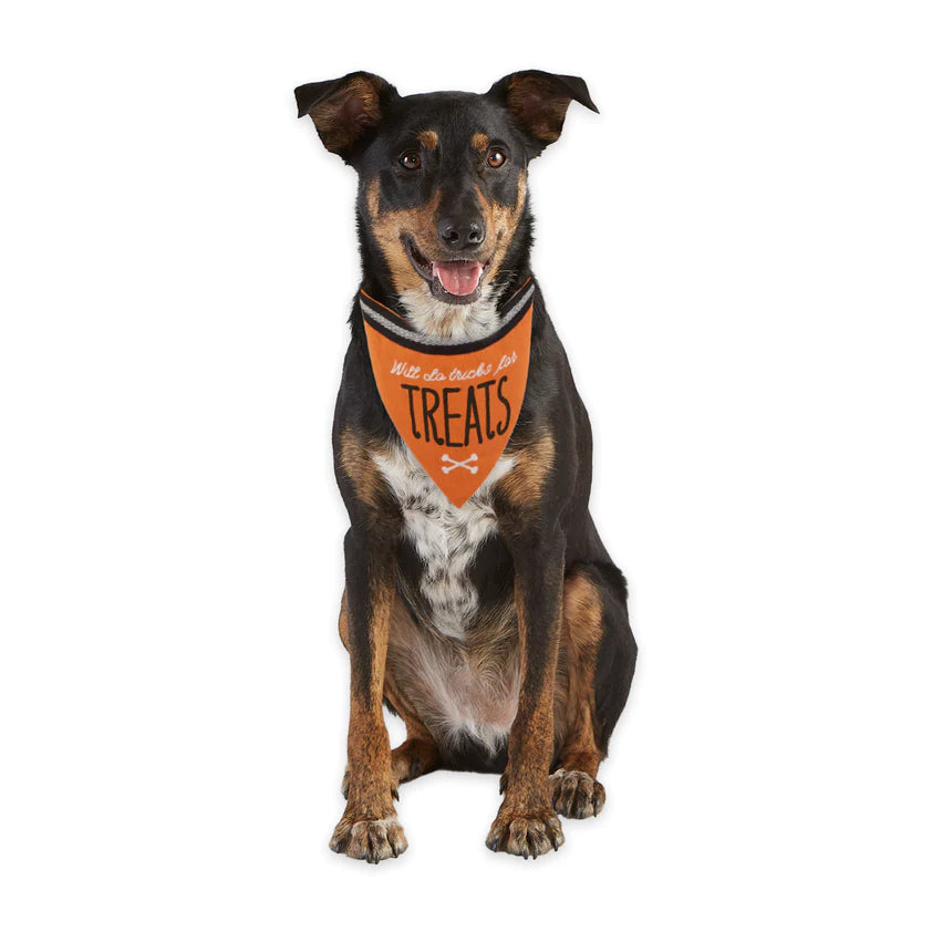 Howl-Oween Pet Bandana Mixed Pack