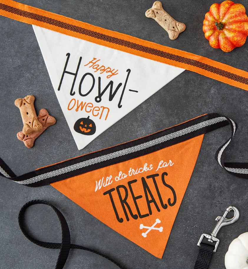 Howl-Oween Pet Bandana Mixed Pack