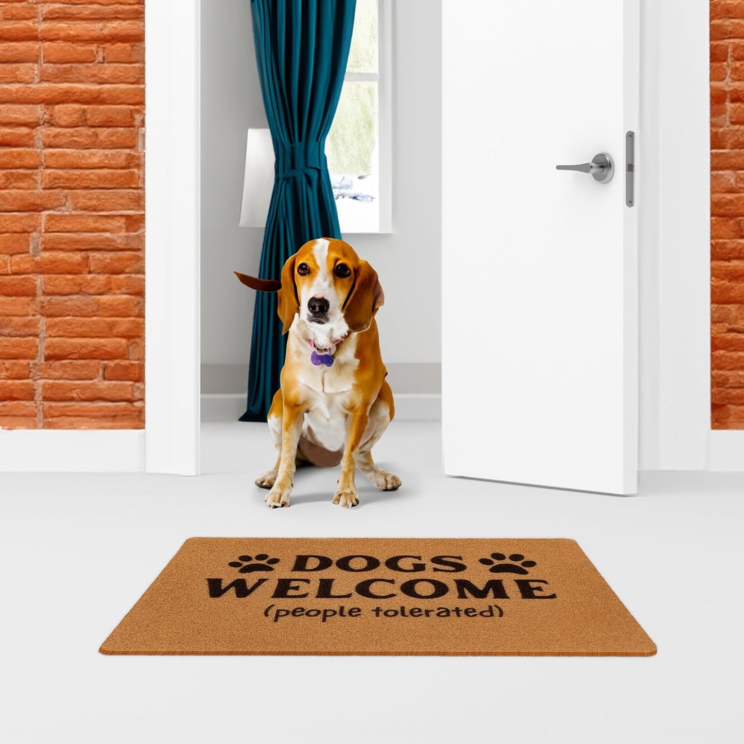 Dogs Welcome People Tolerated