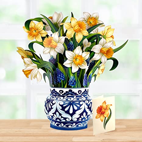 English Daffodils Pop-Up Bouquet