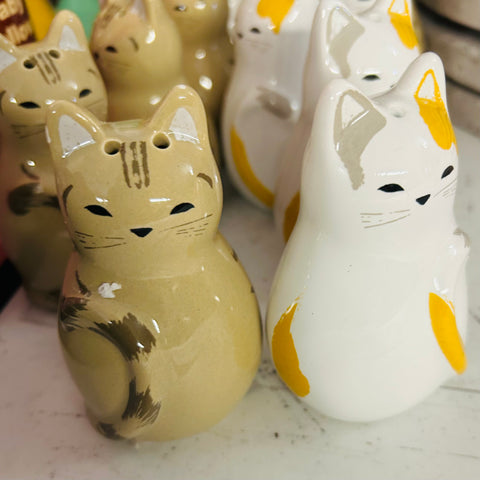 Embossed Cat Salt & Pepper Set