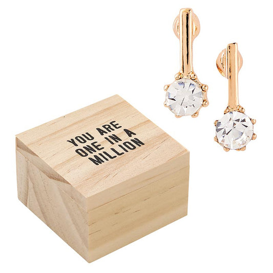 Treasure Box Earrings - You Are One in a Million