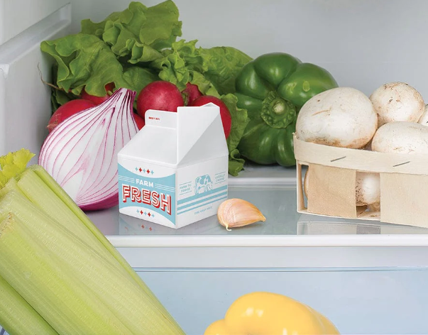 FRESH PINT - FRIDGE ODOR ABSORBER