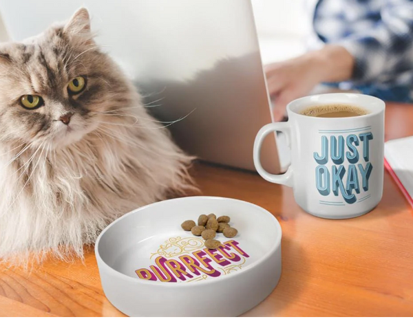 PURRFECT / JUST OKAY MUG AND CAT BOWL