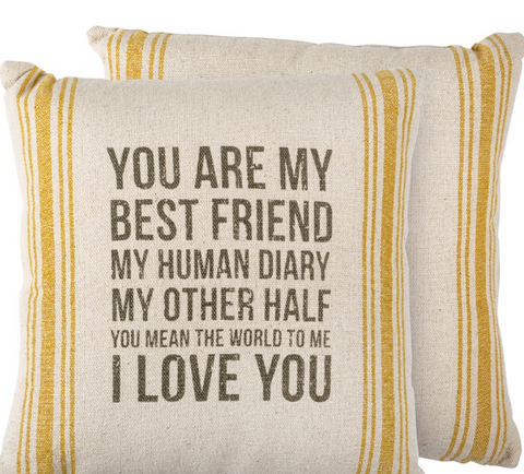 You Are My Best Friend Pillow