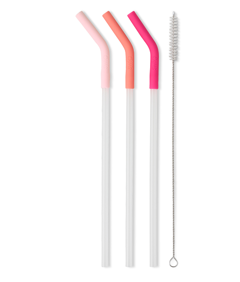 Blush/Coral/Hot Pink Reusable Straw Set (Mega Mugs)