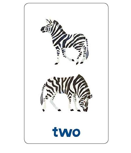 Numbers & Counting Flash Cards