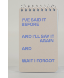 Spiral Notebook 3x5 by Blue Q