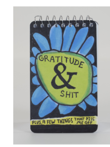 Spiral Notebook 3x5 by Blue Q