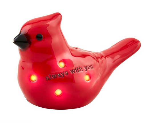 Cardinal Light-Up Sitter