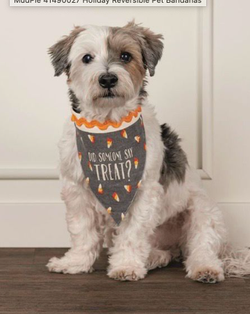 Reversible Pet Bandana