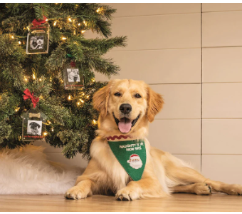 Reversible Pet Bandana
