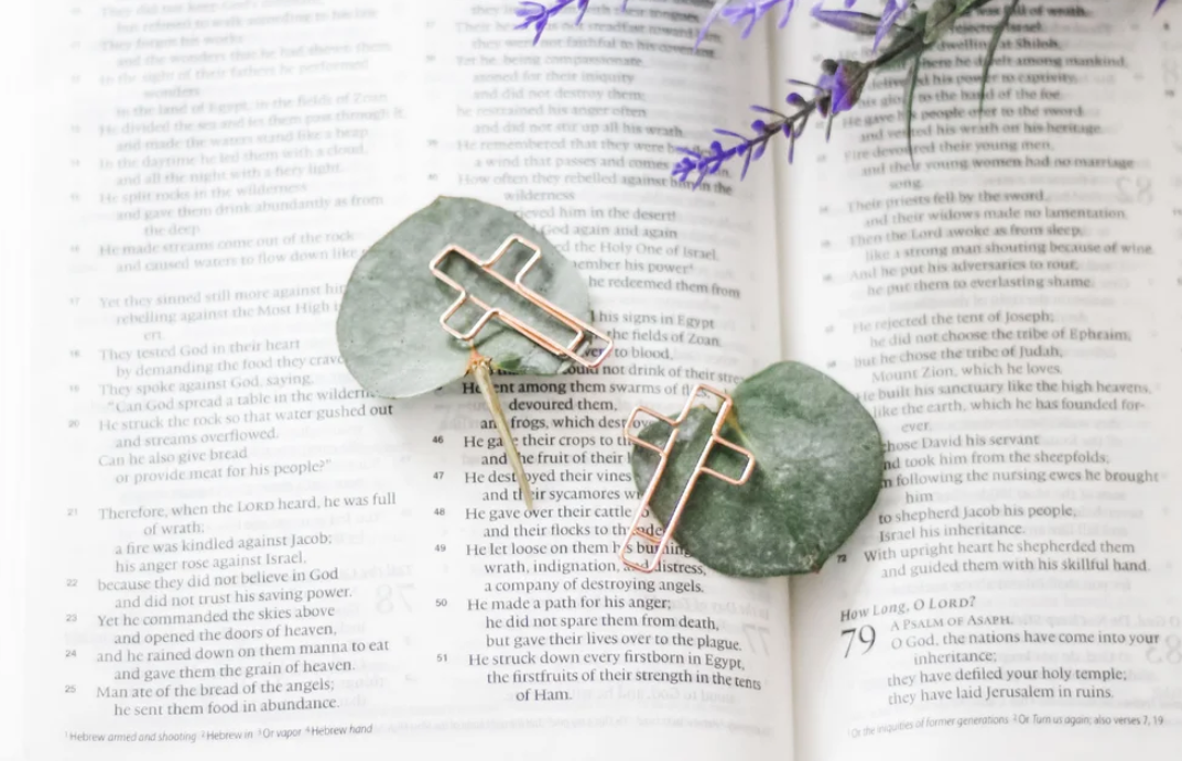 Cross Clips