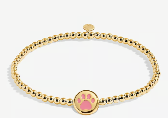 A LITTLE | PAWSITIVE VIBES