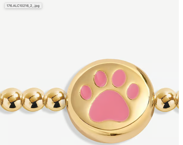 A LITTLE | PAWSITIVE VIBES