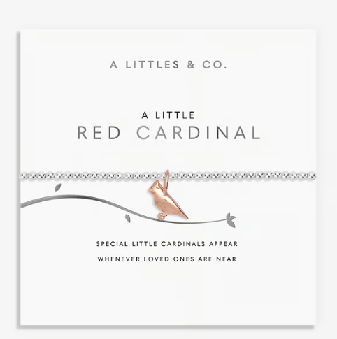 A LITTLE | RED CARDINAL