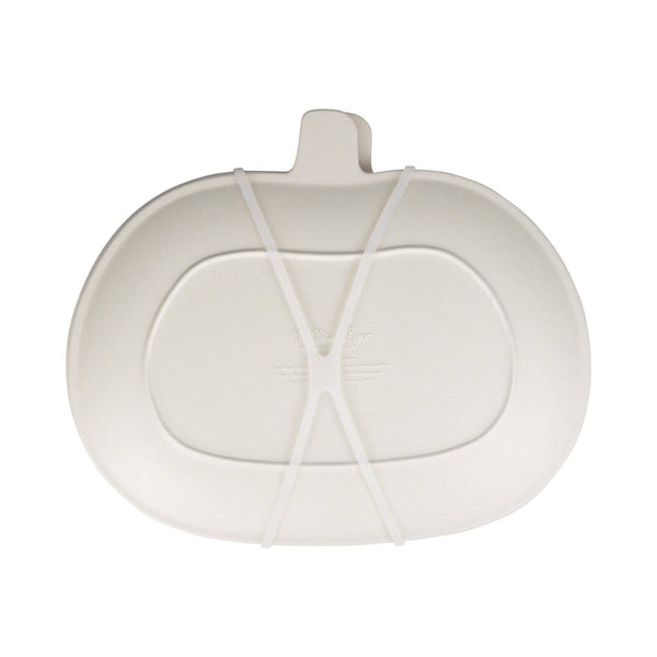 Vintage Pumpkin Bamboo Plates