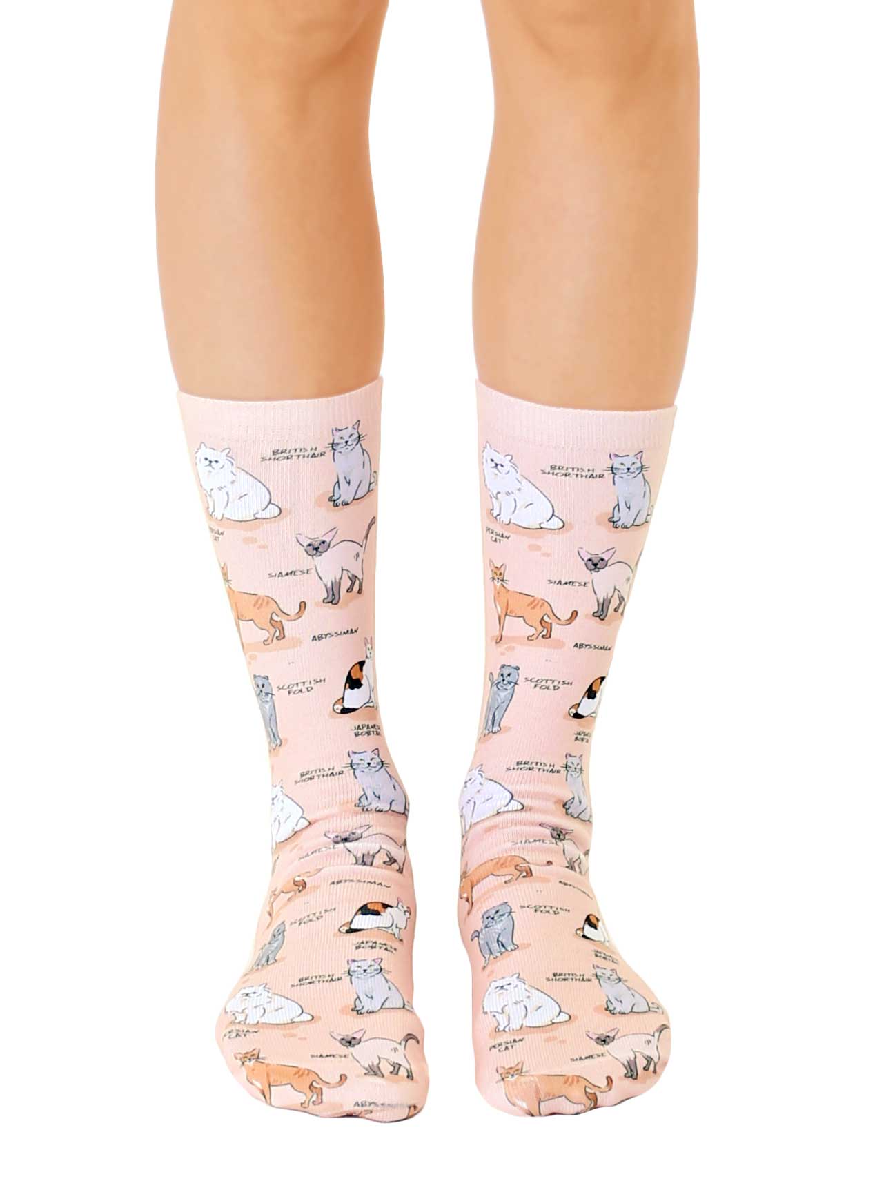 Novelty Graphic Crew Socks - Kitty Cat Breeds - Peach