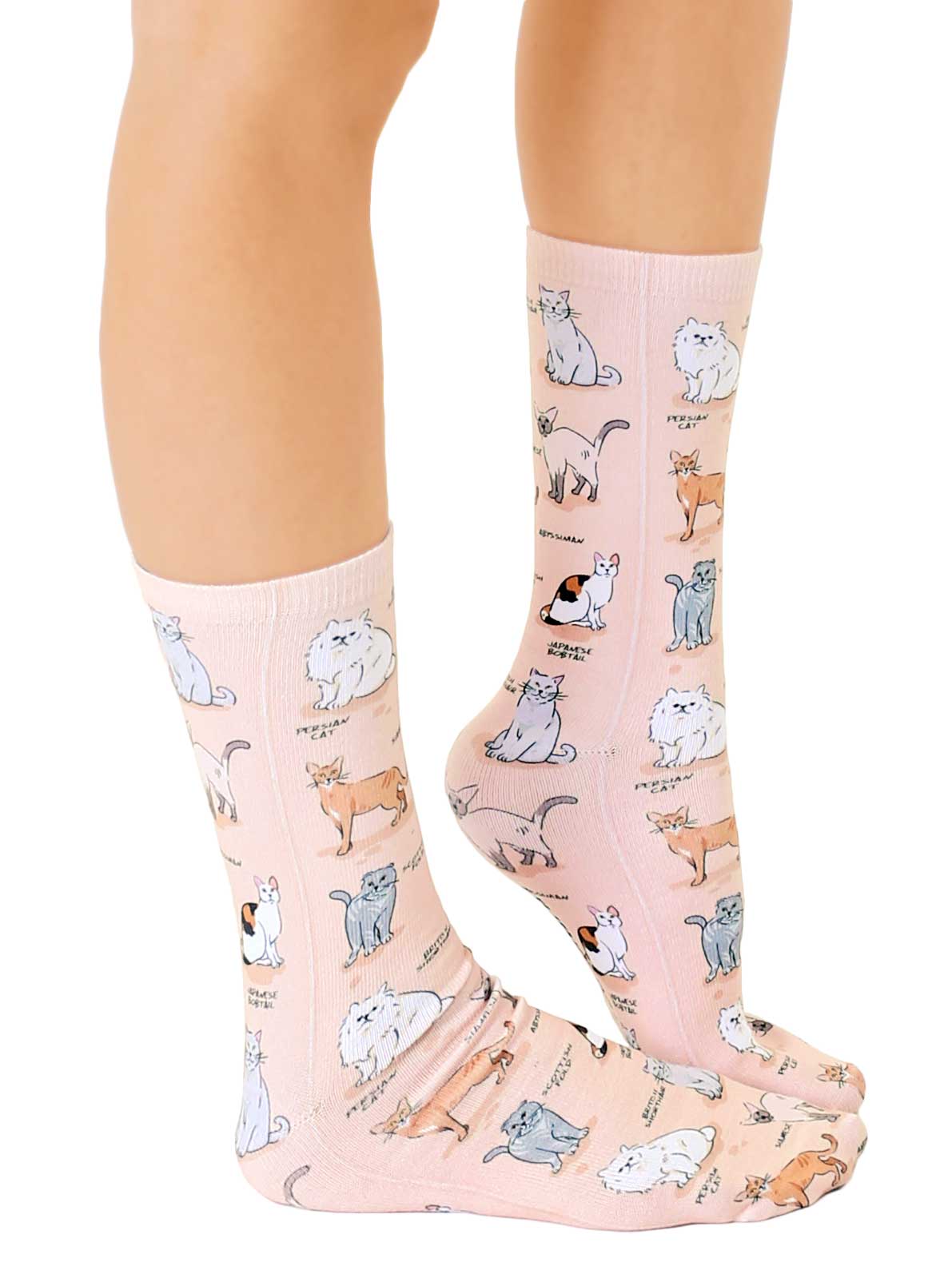 Novelty Graphic Crew Socks - Kitty Cat Breeds - Peach