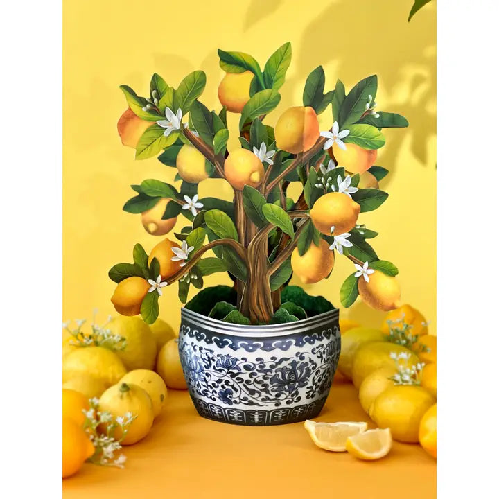 Lemon Blossom Tree Pop Up Card