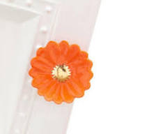 Nora Fleming Insert Pieces