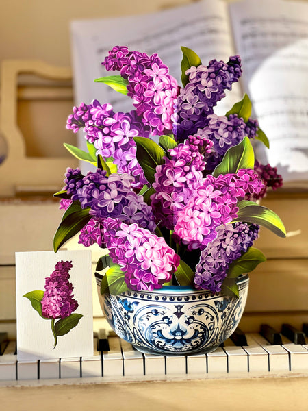 Garden Lilacs