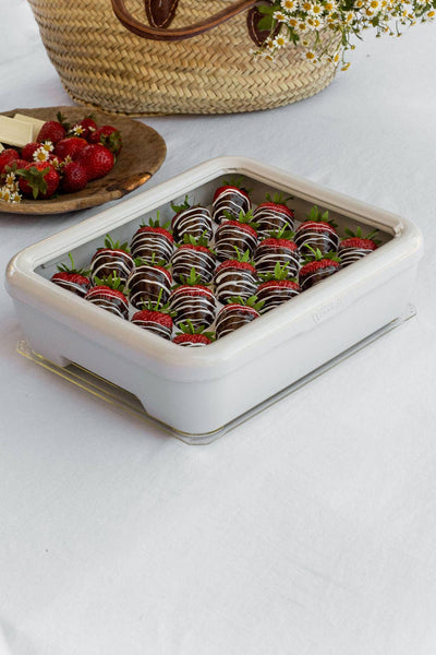 Fancy Panz® Accessory - Deviled Egg Tray Insert