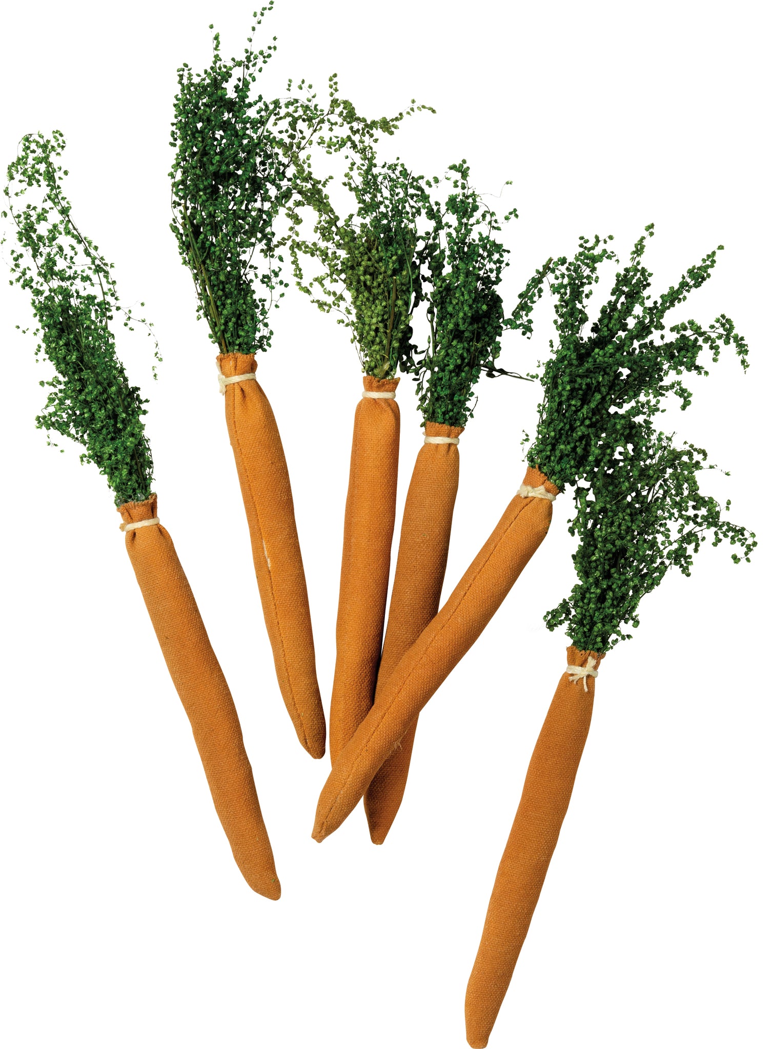 Primative Carrots