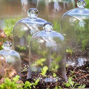 Small Bell Jar