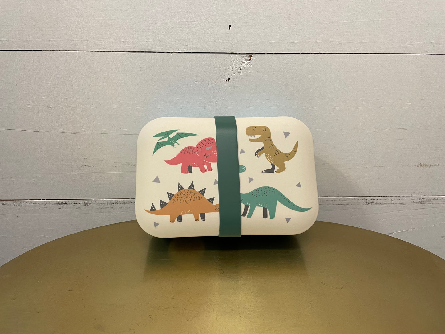 Dino Bento Box