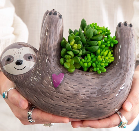 Sloth Planter Set