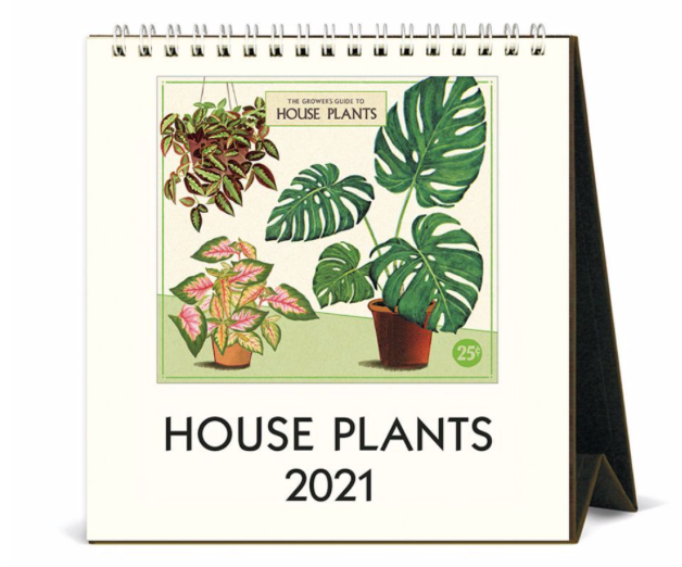 House Plants 2021 Desk Calendar