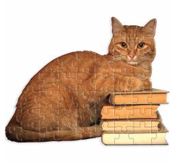 Book Cat Jiggie