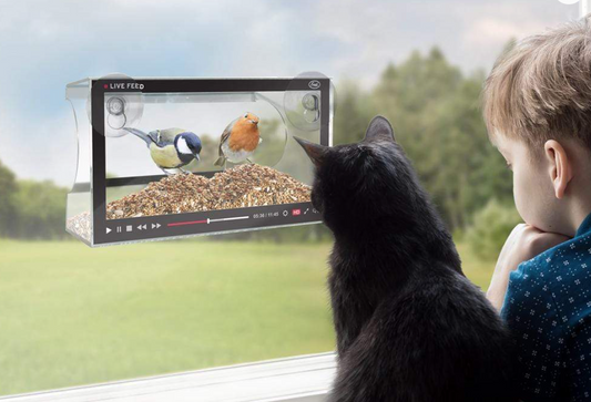 Howligans- Live Feed Bird Feeder