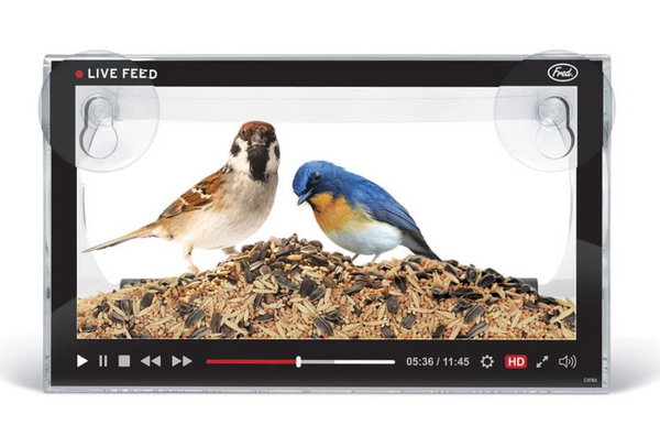 Howligans- Live Feed Bird Feeder