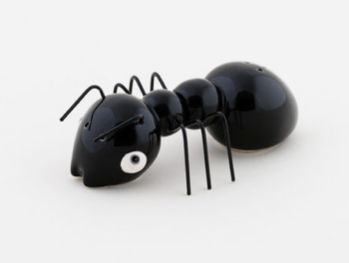 Ant Salt and Pepper Shaker