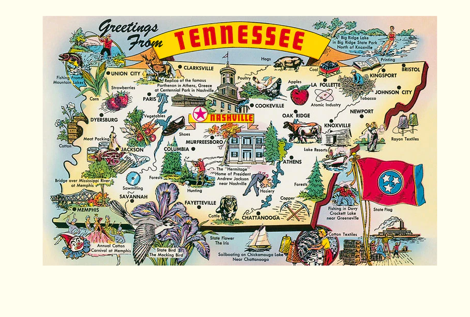 Greetings from Tennessee - Vintage Postcard