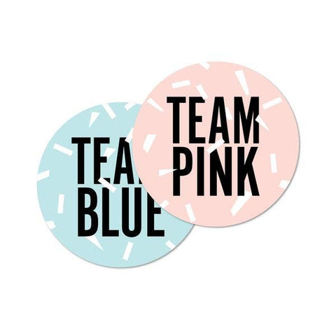 Gender Reveal Sticker Set