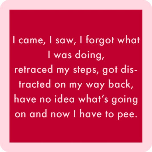 I Came, I Saw